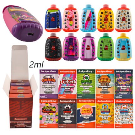 bester Vape-Großhandel | backpackboyz 2g dispo