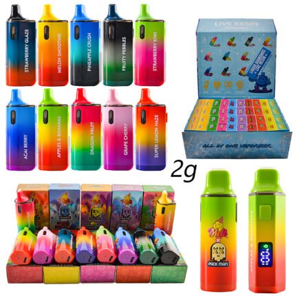 Hochwertige Einweg-Vapes im Großpack | Melt Packman 2g