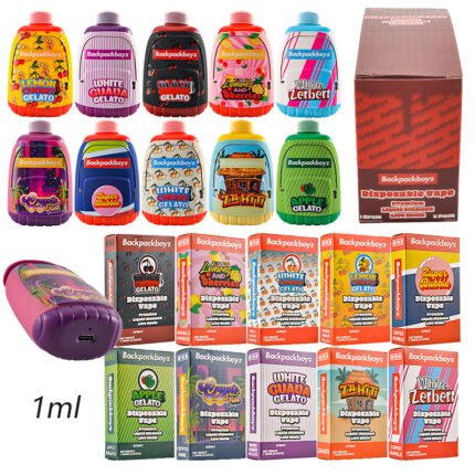 Hersteller Von Günstigen Top-Vapes im Großhandel | BackpackBoyz 1g Einweg