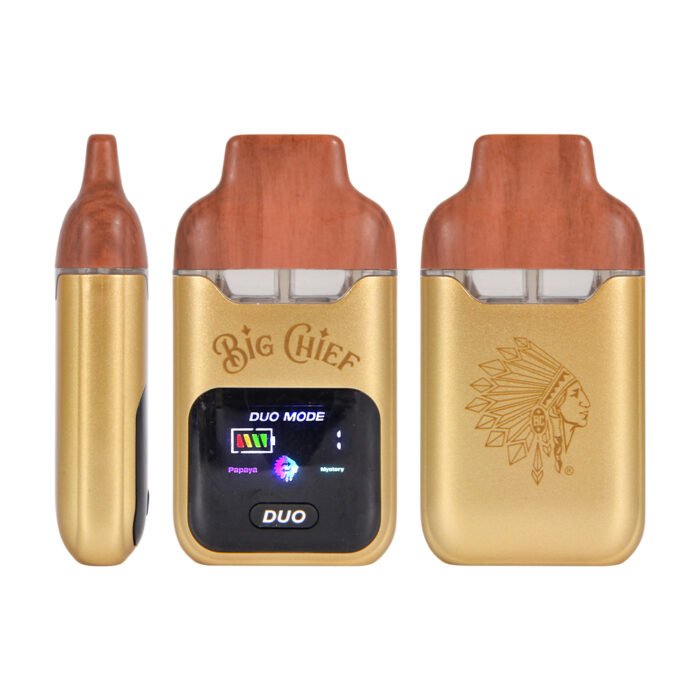 Gnstige hochwertige Dual-Chamber LED 2 g Vapes im Grohandel | Big Chief  Duo V2 Einweg-Vape - https://www.leerervape.com/
