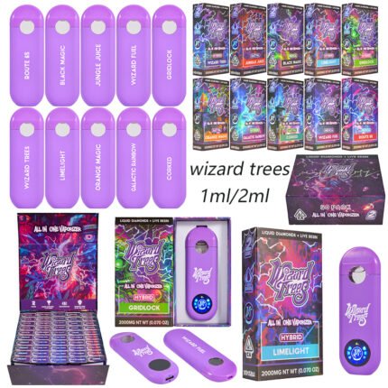 Hochwertige, erschwingliche wiederaufladbare Vapes im Großhandel mit LED | Wizard Trees 2g Disposable Vape